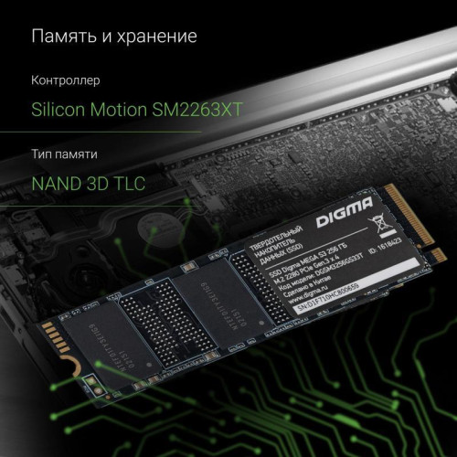 Твердотельный накопитель Digma PCIe 3.0 x4 256GB DGSM3256GS33T Mega S3 M.2 2280 [DGSM3256GS33T]