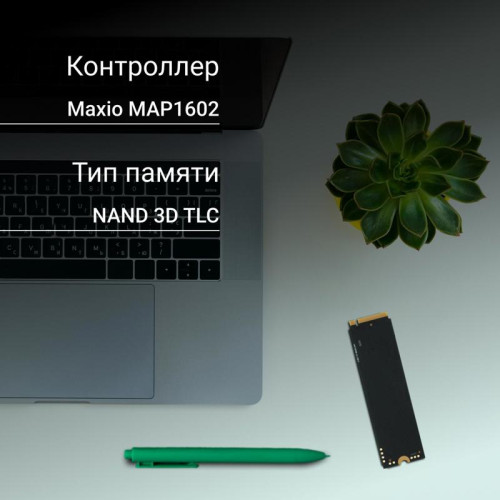 Твердотельный накопитель Digma PCIe 4.0 x4 1TB DGSM4001TM63T Meta M6 M.2 2280 [DGSM4001TM63T]