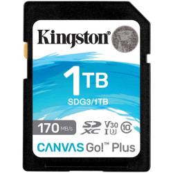 Флеш карта SDXC 1TB Kingston SDG3/1TB Canvas Go! Plus w/o adapter