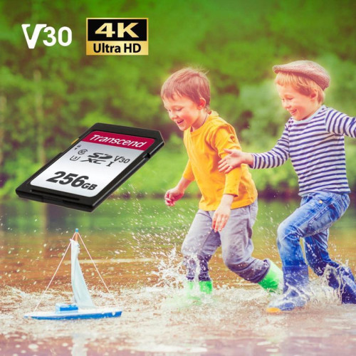 Флеш карта SDXC 256GB Transcend TS256GSDC300S w/o adapter Флеш карта SDXC 256GB Transcend TS256GSDC300S w/o adapter