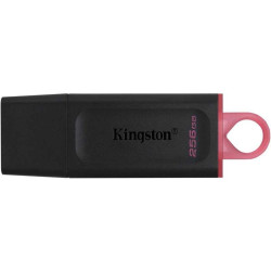 Флеш Диск Kingston 256Gb DataTraveler Exodia DTX/256GB USB3.0 черный/красный