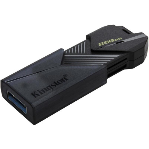 Флеш Диск Kingston 256Gb DataTraveler Exodia Onyx DTXON/256GB USB3.2 черный