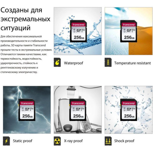 Флеш карта SDXC 256GB Transcend TS256GSDC300S w/o adapter Флеш карта SDXC 256GB Transcend TS256GSDC300S w/o adapter