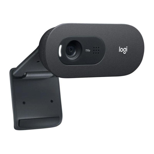 Веб-камера Logitech C505e HD Webcam 60°, складная конструкция, USB2.0, кабель 2м