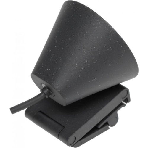 Камера Web Logitech HD Webcam Brio 300 черный 2Mpix (1920x1080) USB Type-C с микрофоном (960-001436)