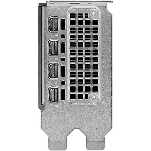 Видеокарта NVIDIA RTX 2000 ADA Graphics Cards, 16GB GDDR6 (ATX inst, LP incl), bulk