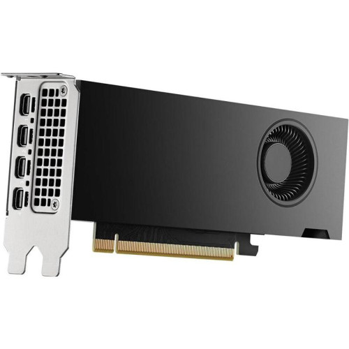 Видеокарта NVIDIA RTX 2000 ADA Graphics Cards, 16GB GDDR6 (ATX inst, LP incl), bulk