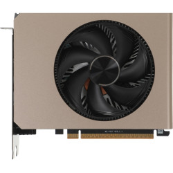 Видеокарта/ GeForce RTX 5060 8G INSPIRE ITX OC