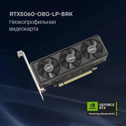 Видеокарта Asus PCI-E 4.0 RTX5060-O8G-LP-BRK NVIDIA GeForce RTX 5060 8Gb 128bit GDDR7 2550/28000 HDMIx1 DPx3 HDCP Ret