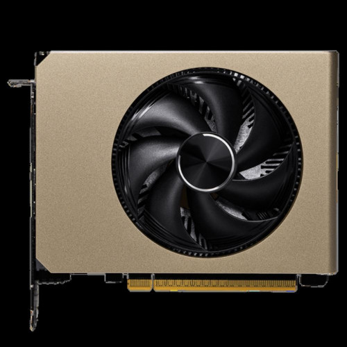 Видеокарта/ GeForce RTX 5060 8G INSPIRE ITX OC