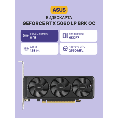 Видеокарта/ RTX5060-O8G-LP-BRK Видеокарта/ RTX5060-O8G-LP-BRK