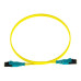 Патч-корд Panduit F92ELQ1Q1SNM003 2x9/125 OS1/OS2 LC push-pull-LC push-pull 3м LSZH желтый Патч-корд Panduit F92ELQ1Q1SNM003 2x9/125 OS1/OS2 LC push-pull-LC push-pull 3м LSZH желтый
