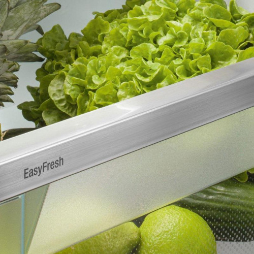 Холодильник/ Холодильник Liebherr ICSe 5103 2-хкамерн.