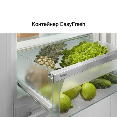 Combination   IRe 4100-22 001 + IFNd 3503-22 001  (в нишу высотой 196 см),последователь IXRF 5600-20 001