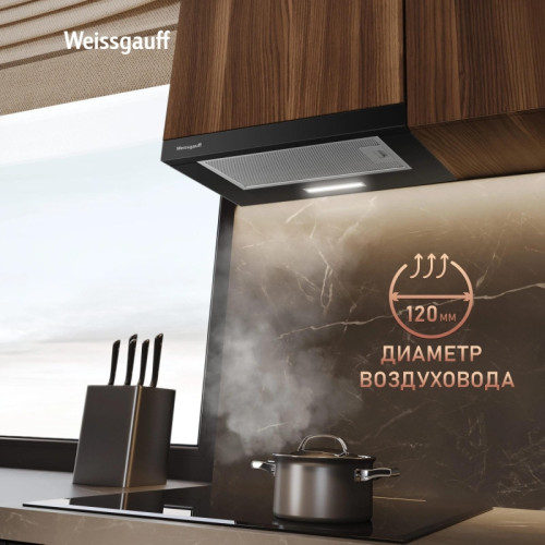 Вытяжка встраиваемая/ Вытяжка встраиваемая Weissgauff TEL 500 Glass черный управление: кулисные переключатели (1 мотор) Вытяжка встраиваемая/ Вытяжка встраиваемая Weissgauff TEL 500 Glass черный управление: кулисные переключатели (1 мотор)
