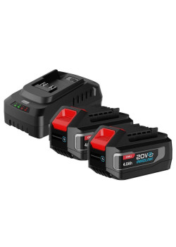 Набор аккумулятор и зарядное устройство Deli DE-CM20A4E (2АКБ 20V 4А*ч + ЗУ 2A, 20V)